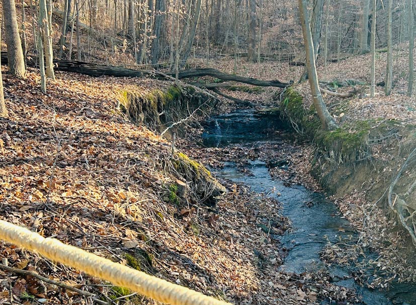 Shale Run Creek