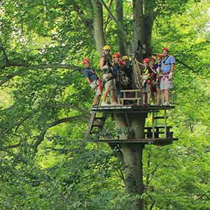 Recreational Activities Zip Lining